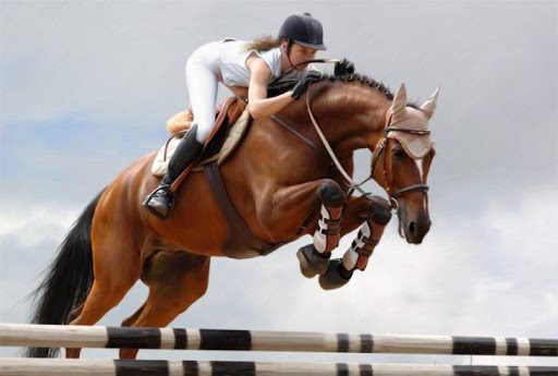 Кінний спорт