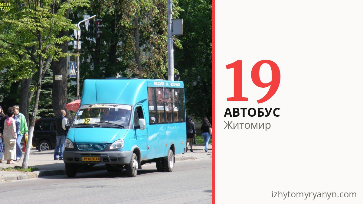 Автобус 19 в Житомире